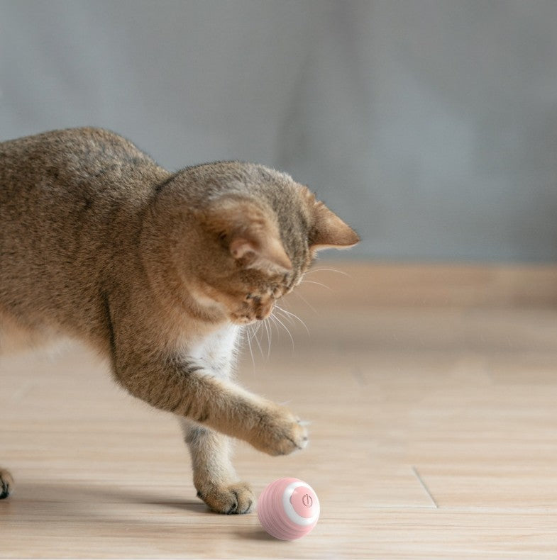 Automatischer Spielball für Katzen – Interaktiver Spaß für neugierige Stubentiger!